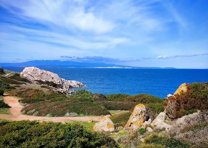 Trilocale Vignamarina Appartamento *